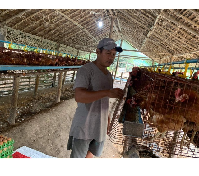 Chicken Farm